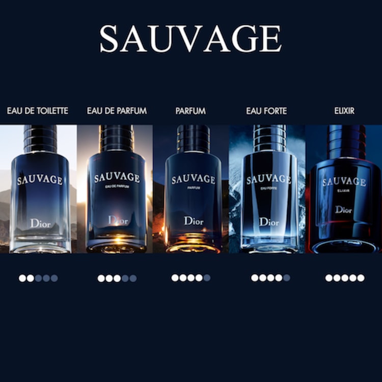 Sauvage Elixir - Parfum pour homme 