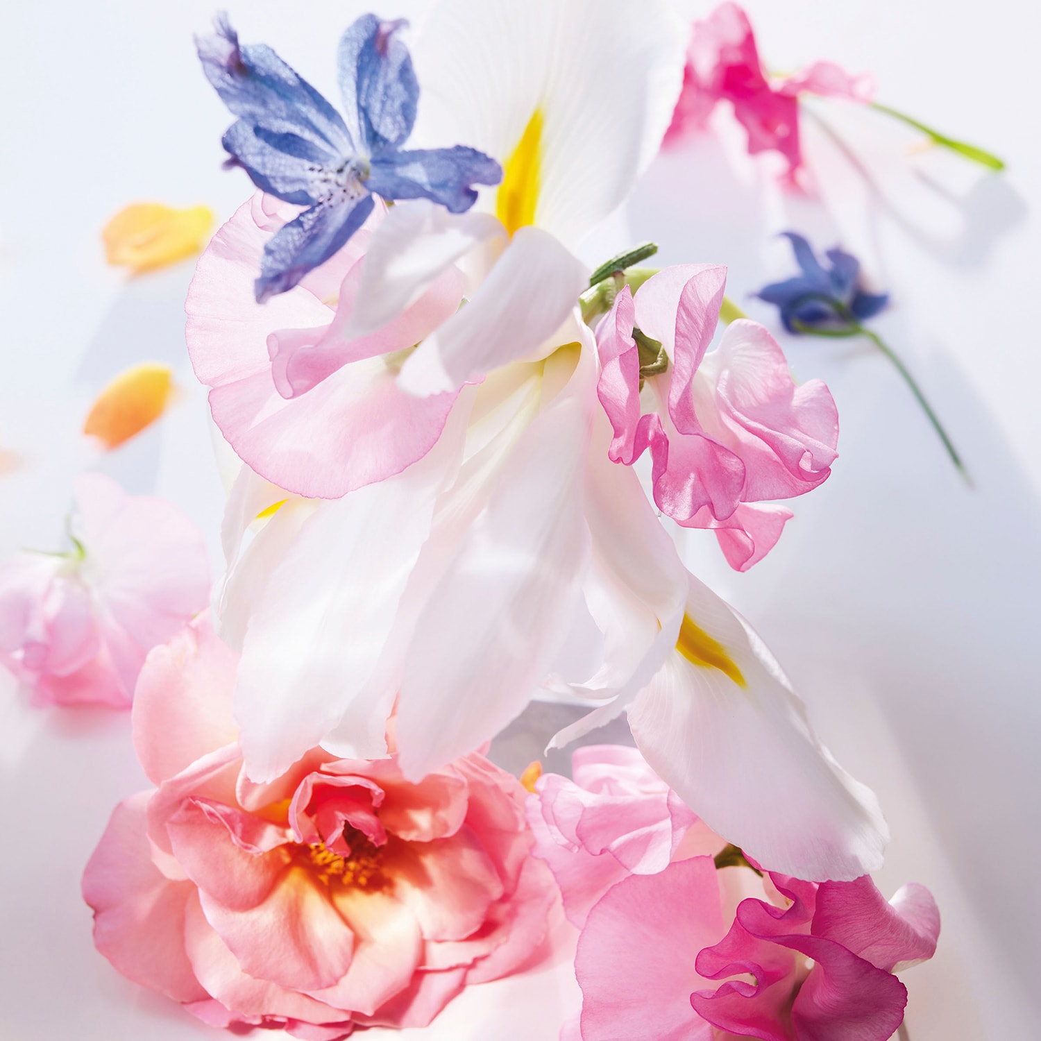 miss dior roller pearl