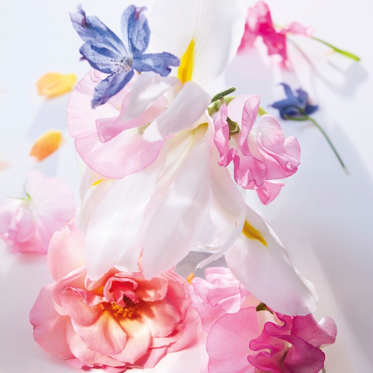 Miss Dior Roller-Pearl - Perfume de bola