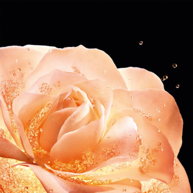 Recharge Dior Prestige Le Concentré Yeux - Soin contour des yeux anti-âge