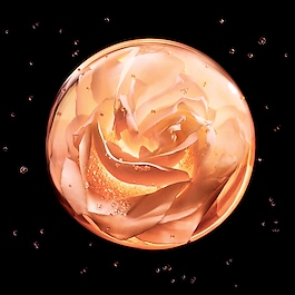 Dior Prestige La Lotion Essence de Rose - Lotion visage et cou