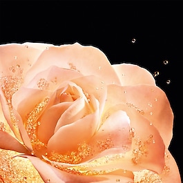 Dior Prestige La Lotion Essence de Rose - Lotion visage et cou