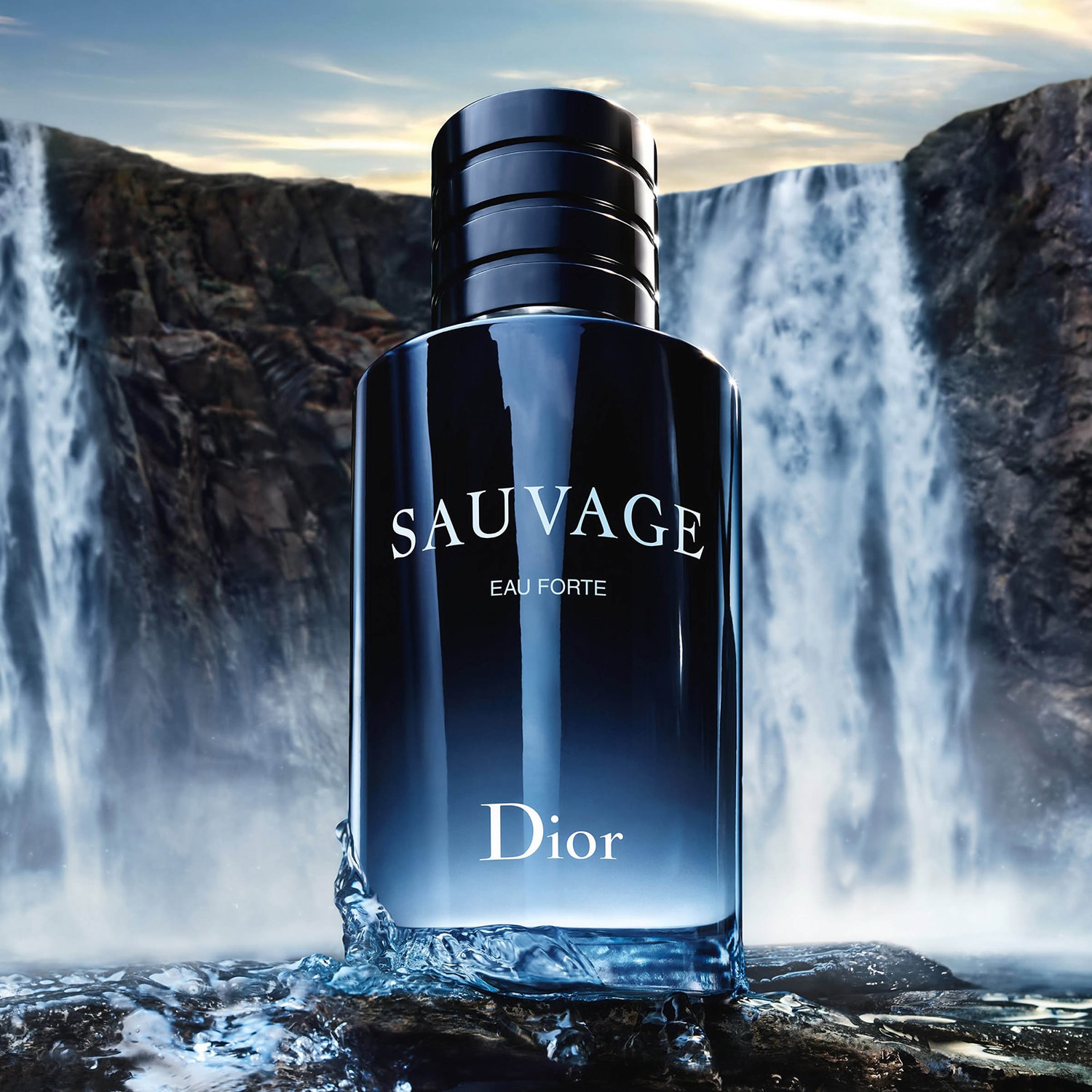 Sauvage Eau Forte - Parfum sans alcool, notes fraîches et intenses de ...