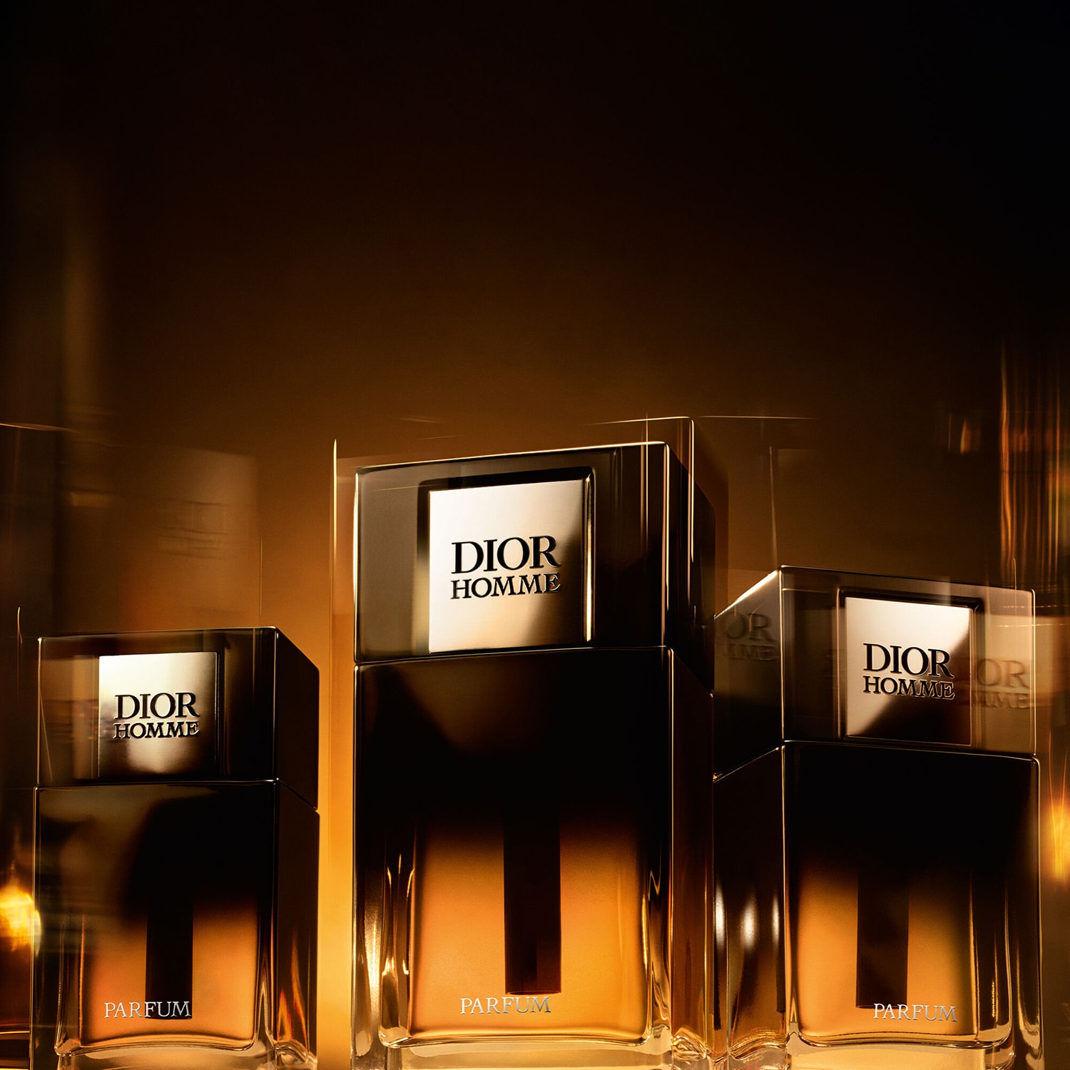 Dior Homme Parfum - note de ambră, lemnoase si florale | DIOR