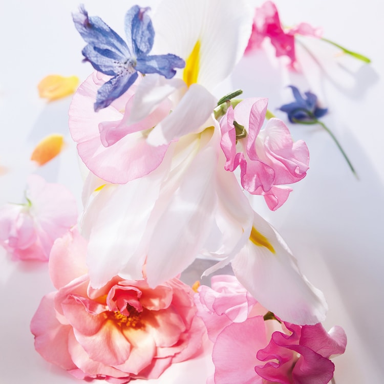 Miss Dior Eau de Parfum Roller-Pearl - Notes florales vanillées et sensuelles