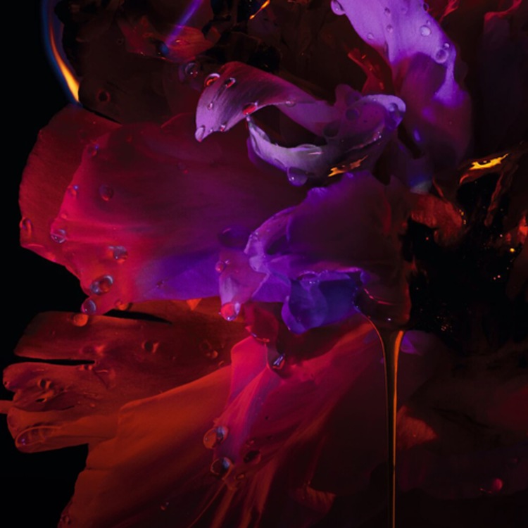 Hypnotic Poison - Eau de parfum pour femme - Notes orientales & vanillées