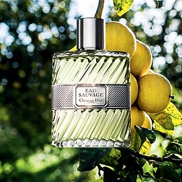 Eau Sauvage - Eau de Toilette für Herren - Frische & sonnige Noten