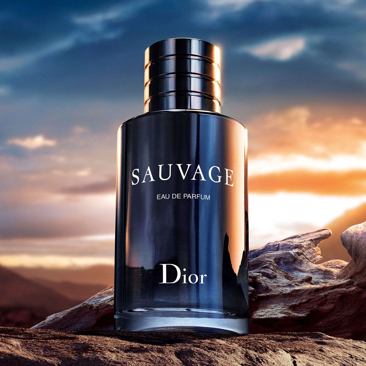 Dior SAUVAGE Eau de Parfum ボックス付き Sauvage | DIOR TR
