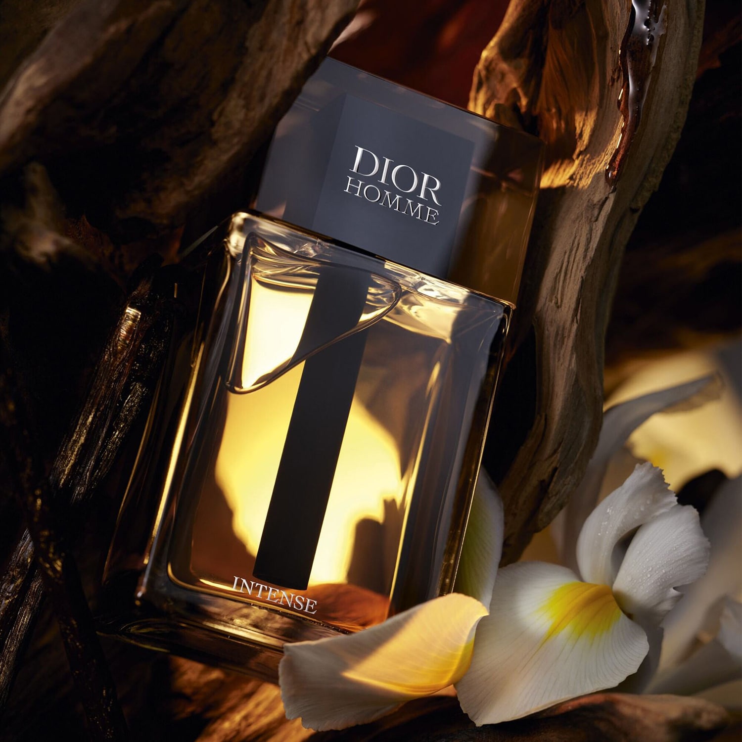 DIOR Homme Intense - Eau de Parfum Barbati | DIOR ≡ SEPHORA