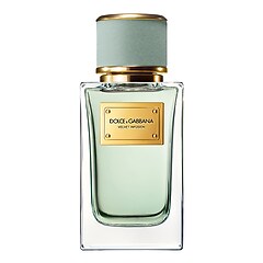 Velvet Infusion -  Eau De Parfum, DOLCE & GABBANA