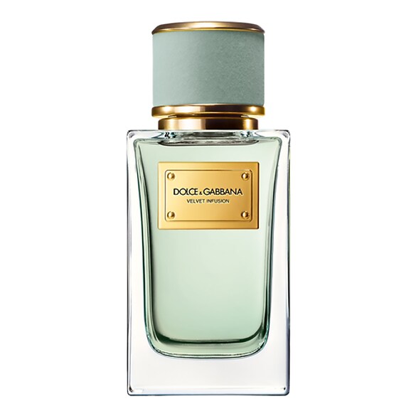 Velvet Infusion -  Eau De Parfum, DOLCE & GABBANA
