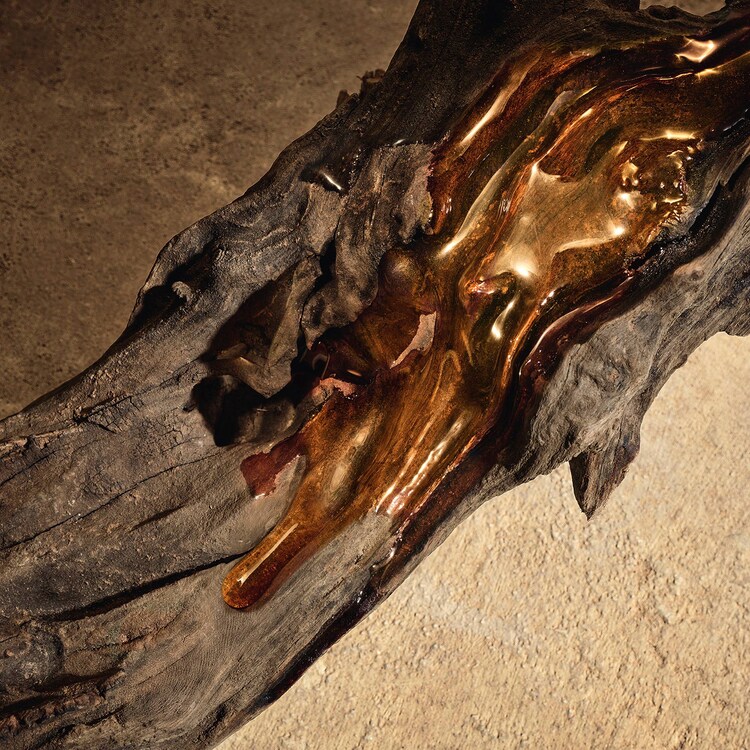 Devotion Male - Parfum