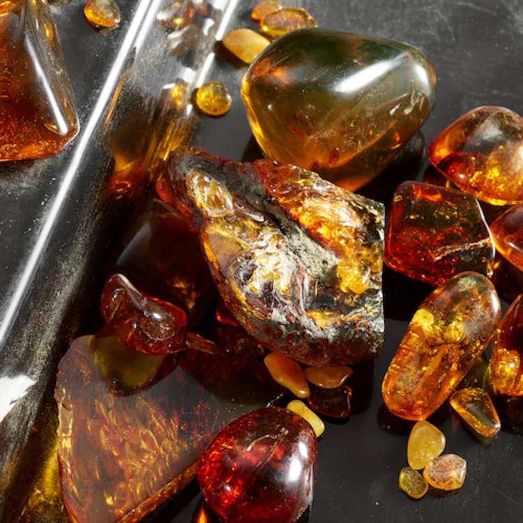 Q - Eau De Parfum Intense