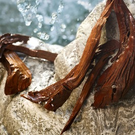 Light Blue - Set Eau de Toilette