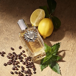 Devotion Male - Eau De Parfum