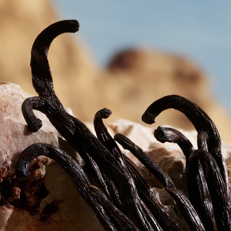 Q by Dolce&Gabbana - Parfum