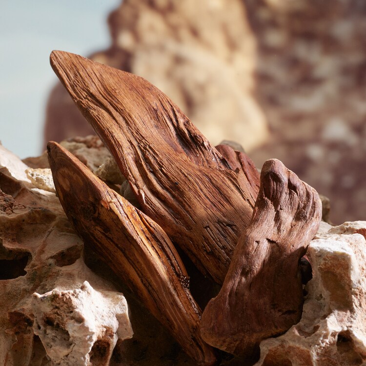 K by Dolce&Gabbana - Parfum