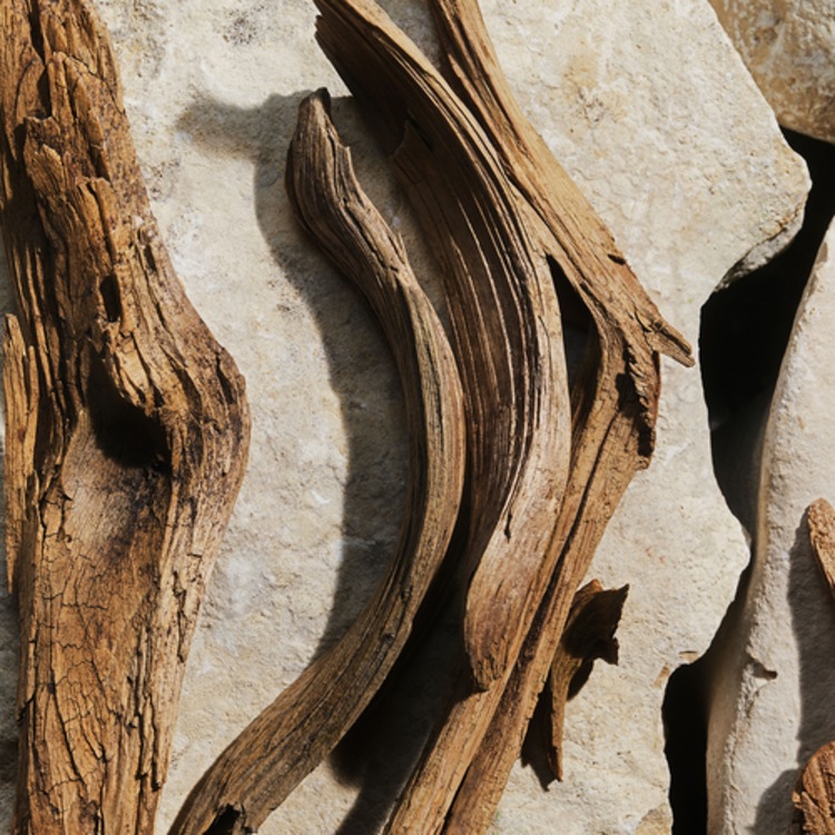 Light Blue - Eau de Toilette