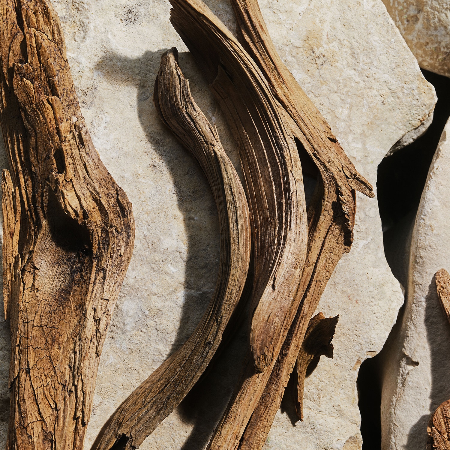 Light Blue - Eau de Toilette