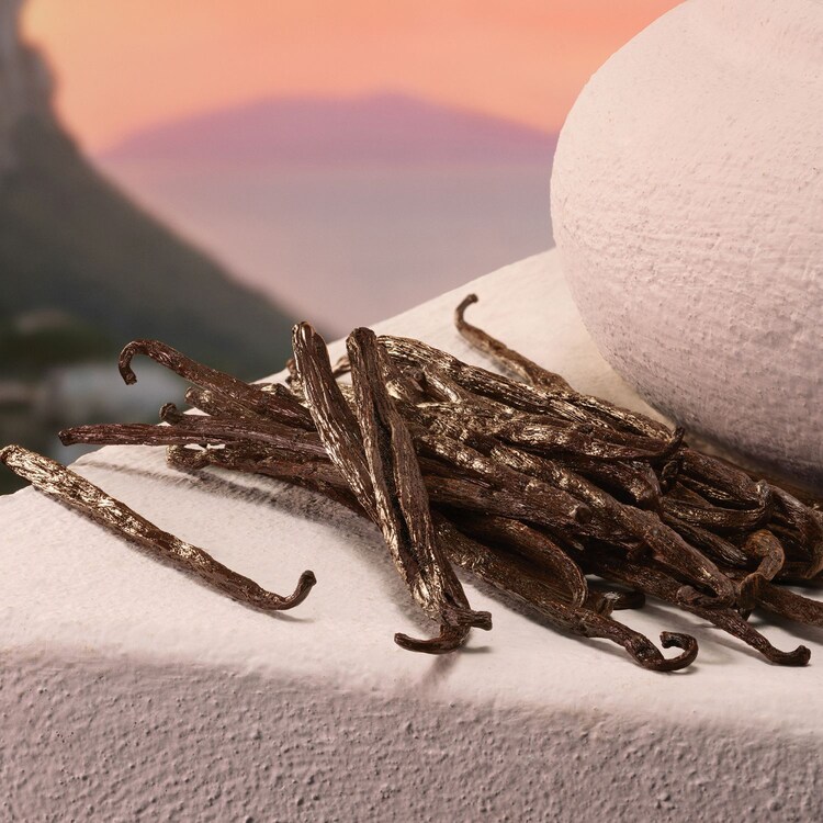 My Devotion - Eau de Parfum Intense