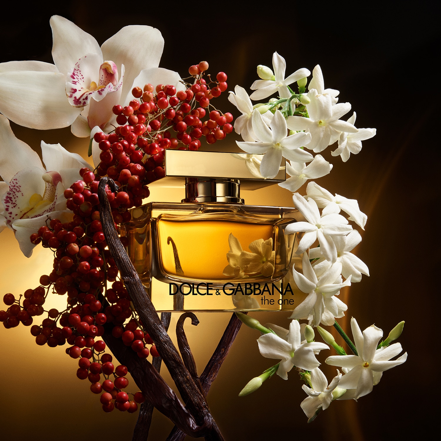 The One - Eau de Parfum Intense | DOLCE & GABBANA ≡ SEPHORA