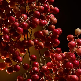 Thumbnail - Dolce & Gabbana - The One - Eau De Parfum Intense - the One Eau De Parfum Intense 75ml