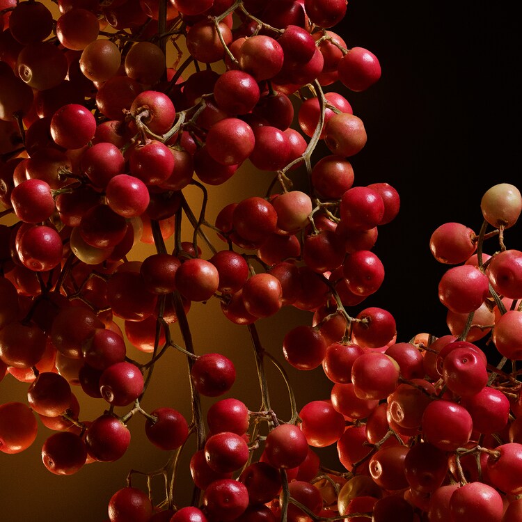 The One - Eau de Parfum Intense 