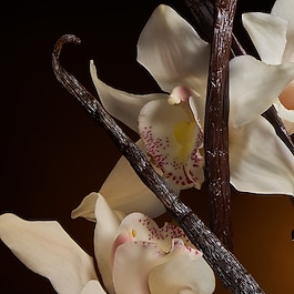 The One - Eau de Parfum Intense