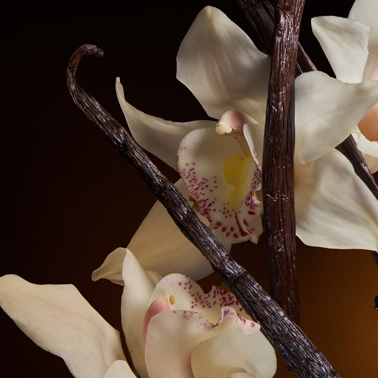 The One - Eau de Parfum Intense 