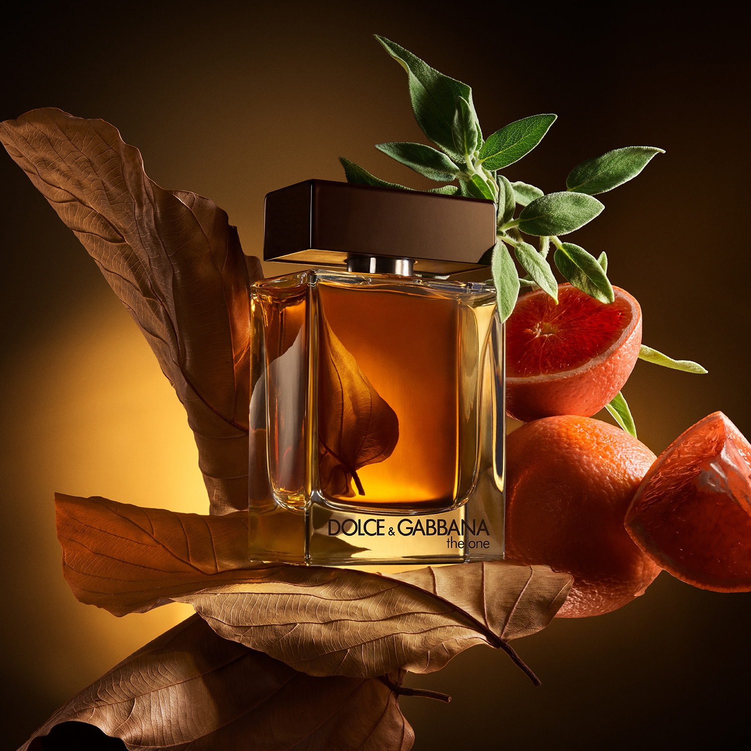 The One For Men - Eau de Parfum | DOLCE & GABBANA ≡ SEPHORA
