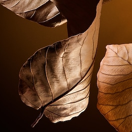 The One Pour Homme - Parfum