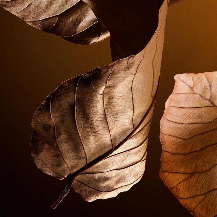 The One -  Parfum Uomo