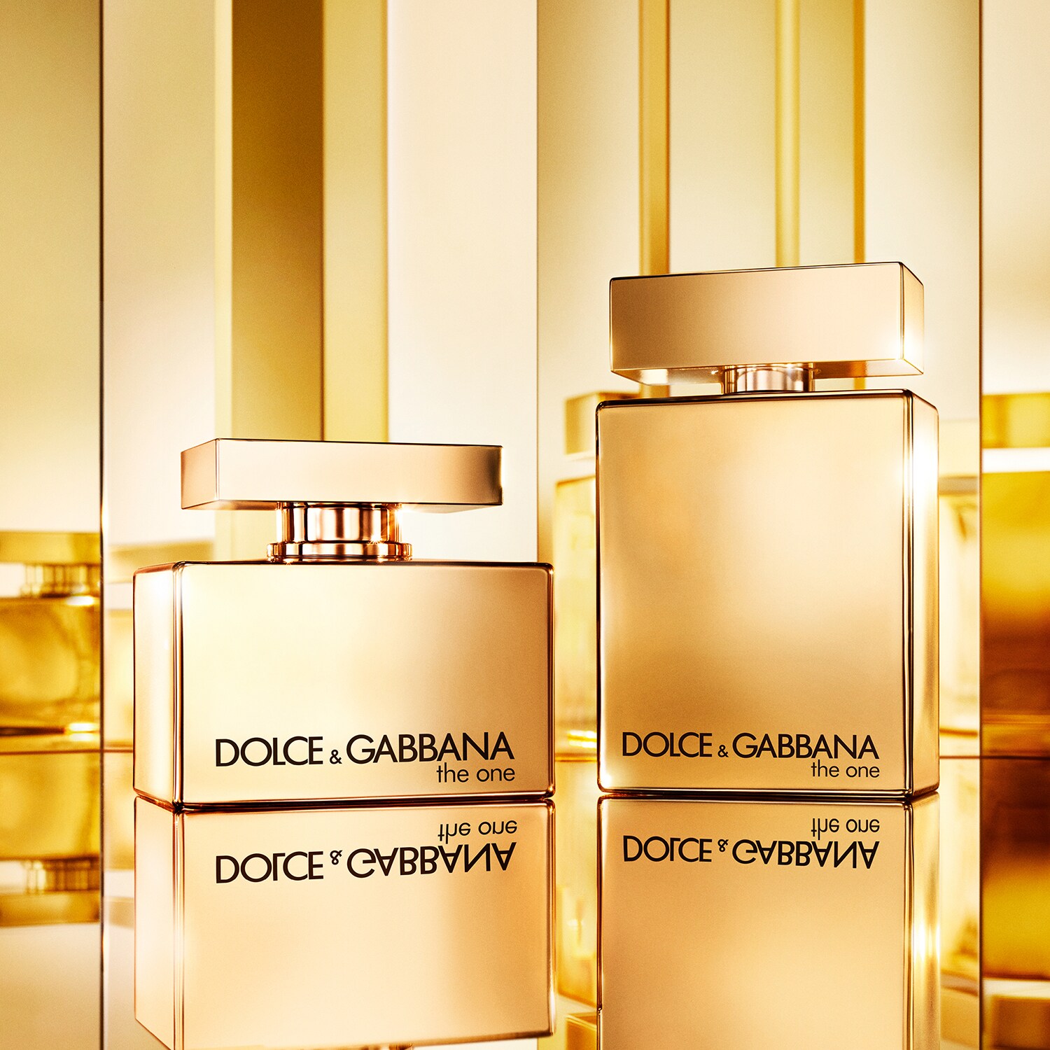 The One For Men Gold - Eau de Parfum | DOLCE & GABBANA ≡ SEPHORA
