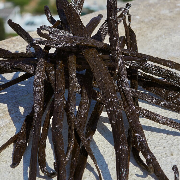 Devotion - Eau De Parfum