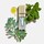 Mint Oil Plumper - Nemlendirici ve Dolgunlaştırıcı Dudak Parlatıcısı 