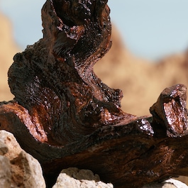 K by Dolce&Gabbana - Elixir 