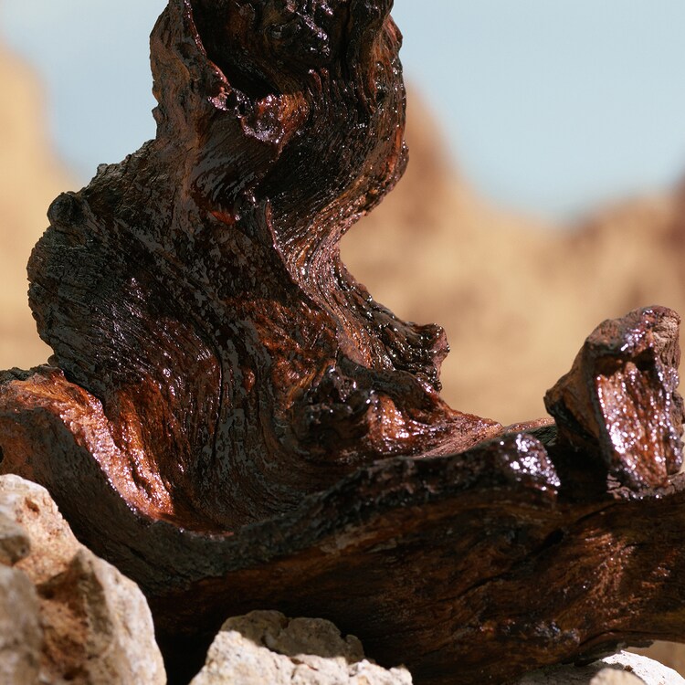 K by Dolce&Gabbana - Elixir 