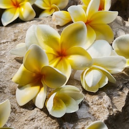 Light Blue - Eau de Parfum Donna