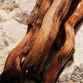 Light Blue - Eau de Parfum Donna