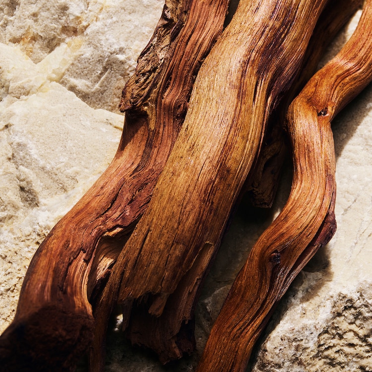 Light Blue- Eau de Parfum 