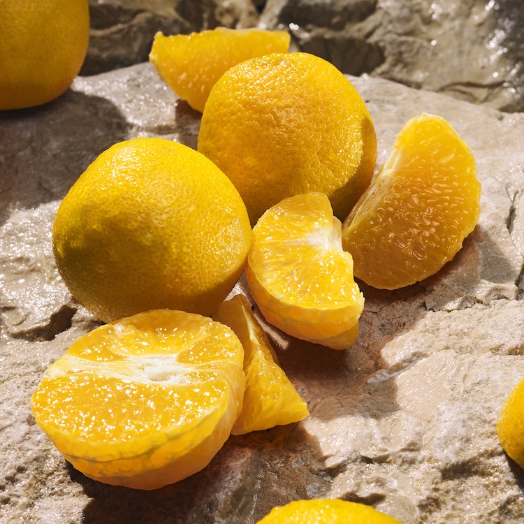 Light Blue - Eau de parfum Pour Homme