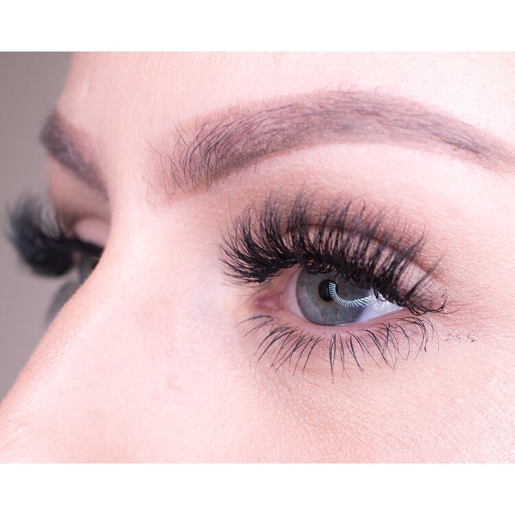 Red Carpet - Premium 3D