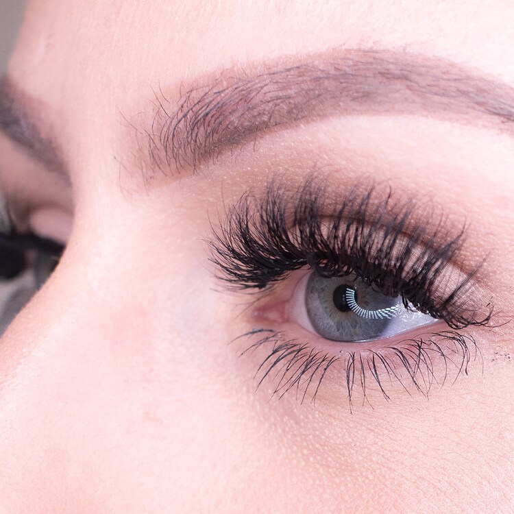 Red Carpet - Premium 3D