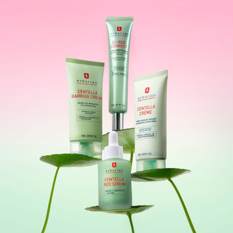 Centella Crème - Crème hydratante apaisante