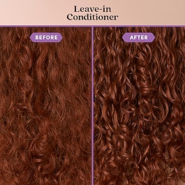 Wild About Volume - Coffret routine hydratante, cheveux fins à medium