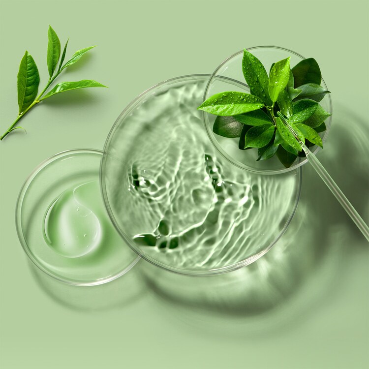Sheet Mask Farm To Face Green Tea - Maseczki w płachcie 