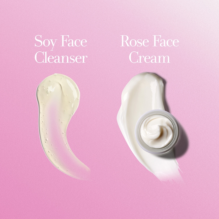 Duo Dewy Skin - Set de îngrijire a pielii | Fresh ≡ SEPHORA