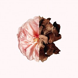Irresistible Givenchy - Eau de Parfum Roll-On