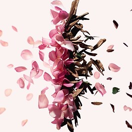 Irresistible Givenchy - Set