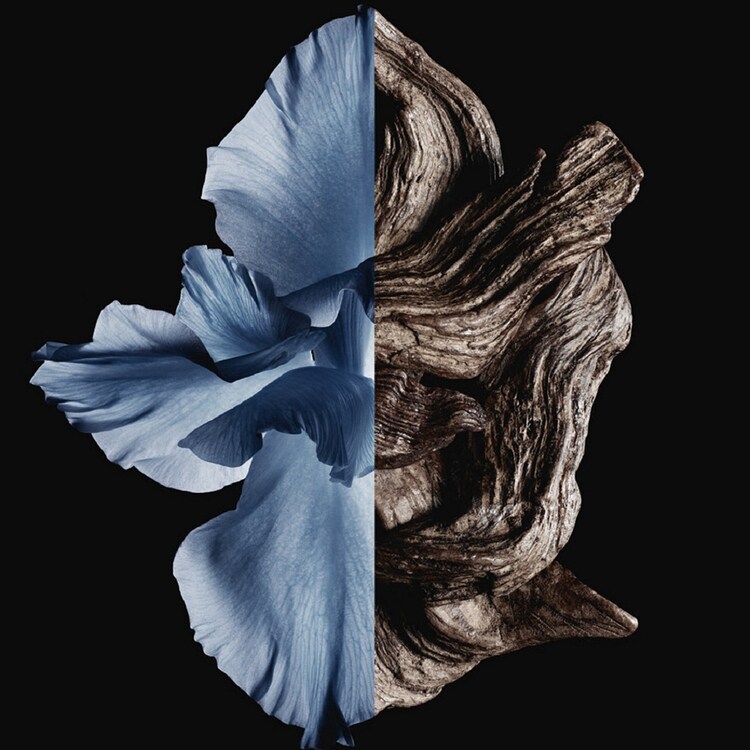 Gentleman - Eau de Toilette Intense